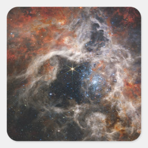 Der Tarantula-Nebel   JWST Quadratischer Aufkleber
