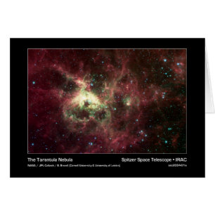 Der Tarantula-Nebel - Spitzer-Weltraumteleskop - I