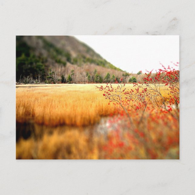 Der Tarn Postkarte (Vorderseite)