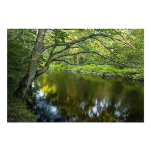 Der Taunton River in Bridgewater, Fotodruck