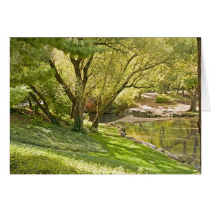 Der Teich - Central Park NYC