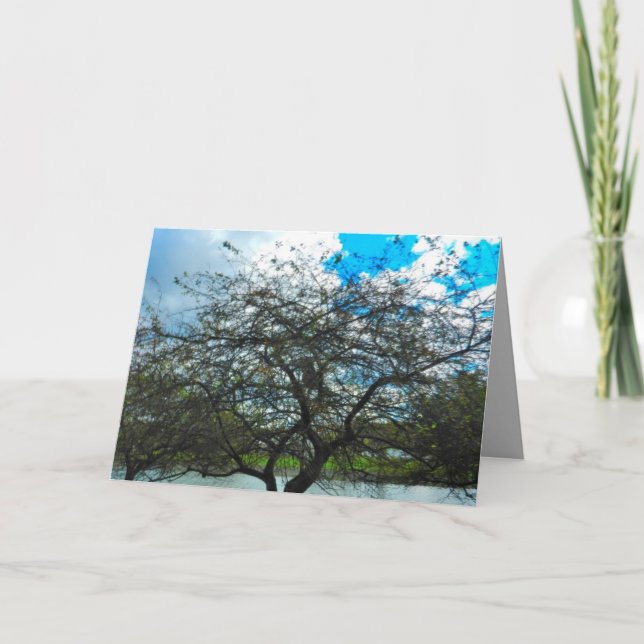 DER TEST der ZEIT-Karte Karte (Vorderseite)