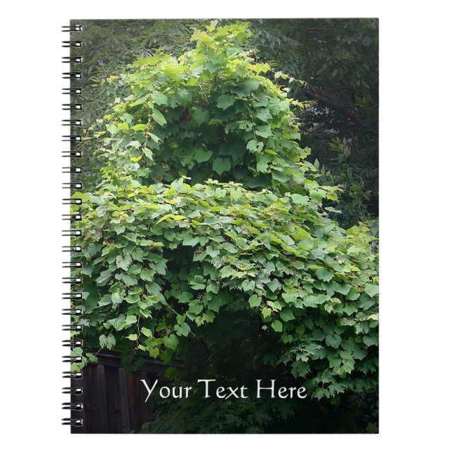 Der Thron der Natur Notizblock (Vorderseite)