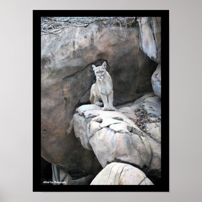 Der Thron des Bergkönigs Poster (Vorne)