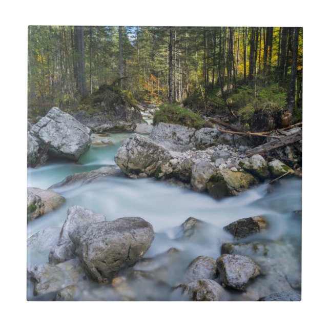 Der Torrent Ramsauer Ache Fliese (Vorderseite)