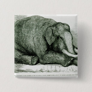 Der tote Elefant Button