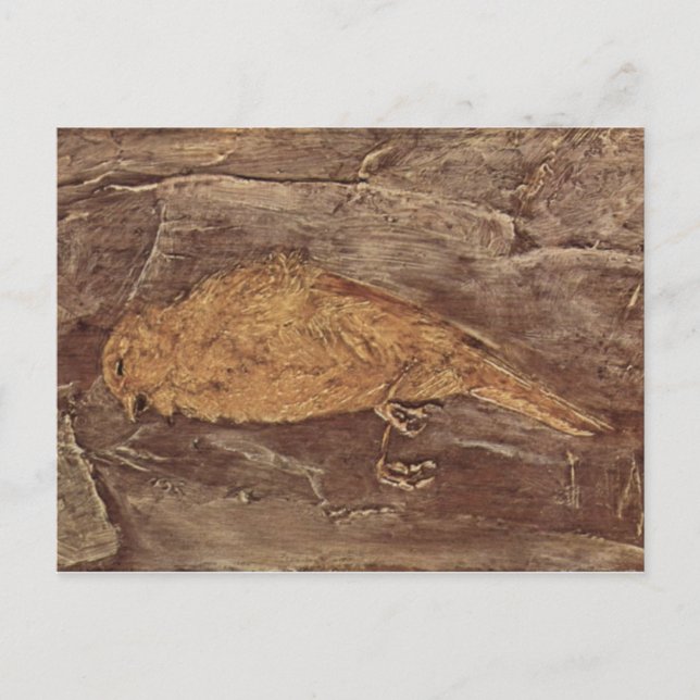 Der tote Vogel Postkarte (Vorderseite)