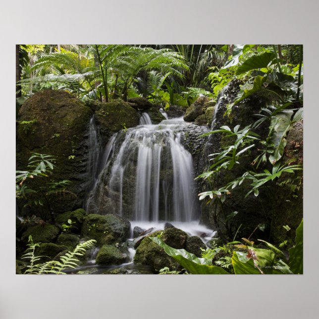 Der tropische botanische Garten ist 33 ha groß (83 Poster (Vorne)