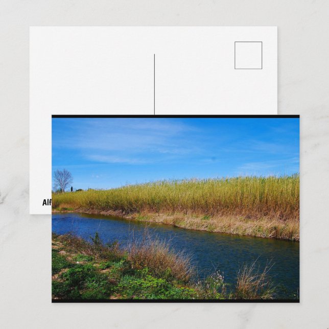 Der Túria-Fluss Postkarte (Vorne/Hinten)