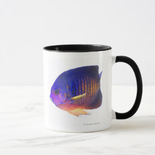 Der two-spined Angelfish Tasse