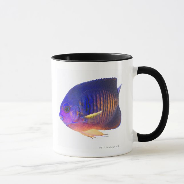 Der two-spined Angelfish Tasse (Rechts)