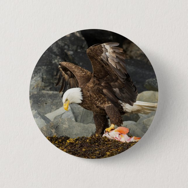 Der ultimative Adler Button (Vorderseite)