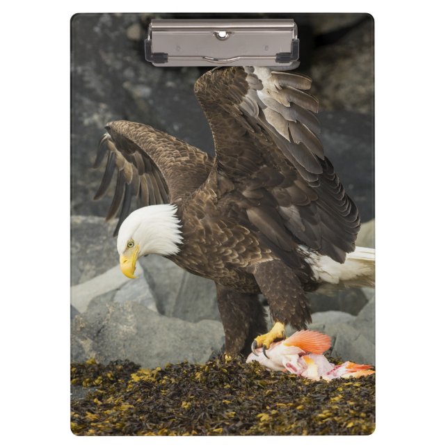 Der ultimative Adler Klemmbrett (Vorderseite)