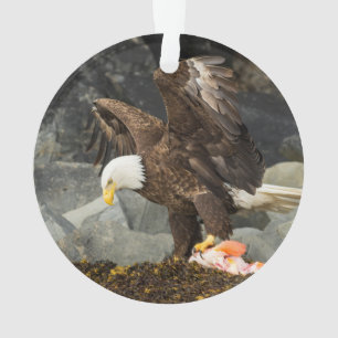Der ultimative Adler Ornament