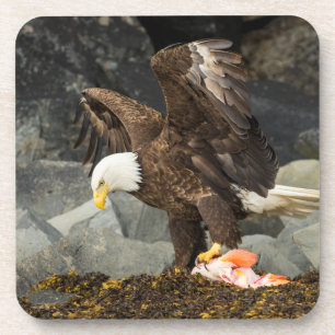 Der ultimative Bald-Adler Untersetzer
