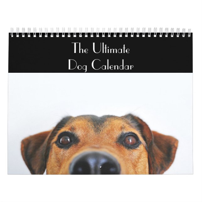 Der ultimative Hundekalender Kalender (Titelbild)