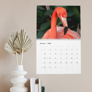 Der unglaubliche Flamingo-Kalender wählt Jahr Kalender