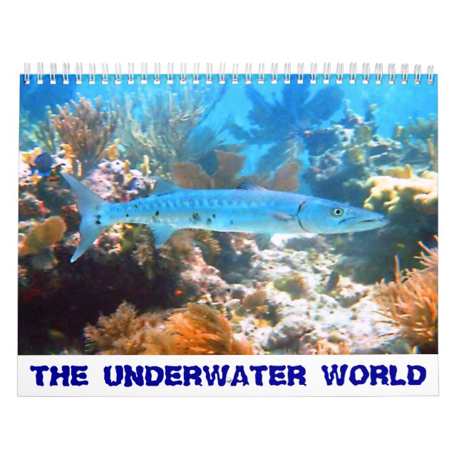 Der UNTERWASSERweltkalender Kalender (Titelbild)