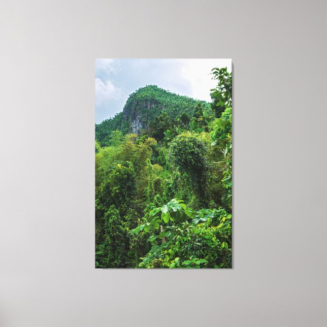 Der üppige Regenwald und der Yunque-Gipfel Leinwanddruck (Vorderseite)
