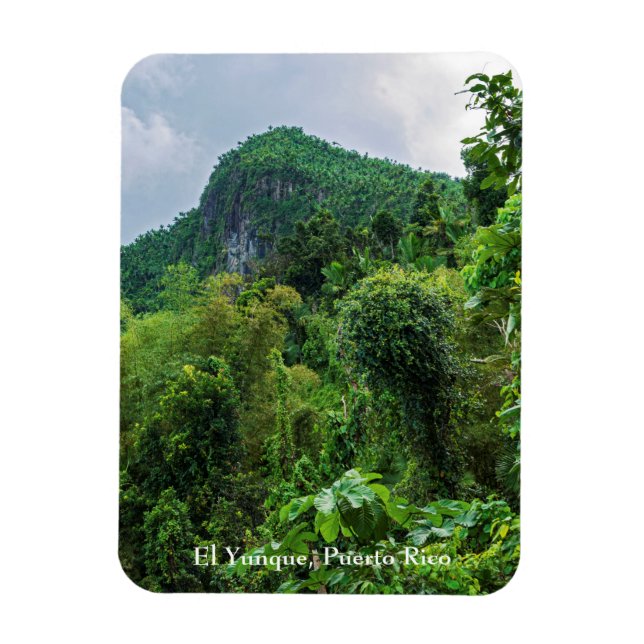 Der üppige Regenwald und der Yunque-Gipfel Magnet (Vertikal)