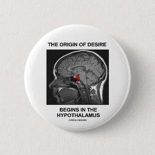 Der Ursprung des Wunsches fängt im Hypothalamus an Button