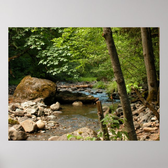 Der Versteck Poster (Vorne)