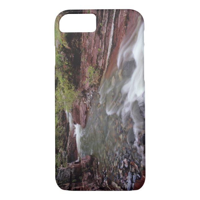 Der verstorbene Pferdekrebs im Nationalpark der Wa Case-Mate iPhone Hülle (Rückseite)