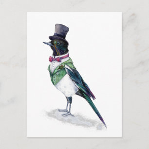 Der Viktorianische Magpie-Vogel Postkarte