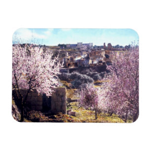 Der Vintage Ölberg Jerusalem Israel 1950 - 77 Magnet