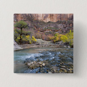 Der Virgin River im Herbst im Zion National Park Button