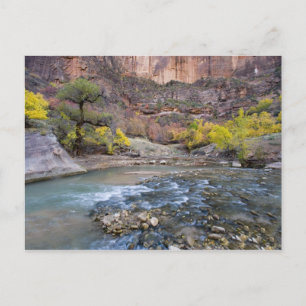 Der Virgin River im Herbst im Zion National Park Postkarte