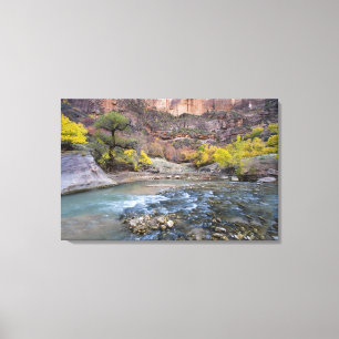 Der Virgin River im Herbst im Zion-Nationalpark Leinwanddruck