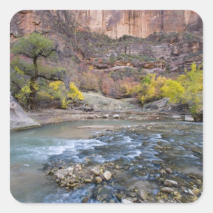 Der Virgin River im Herbst im Zion-Nationalpark Quadratischer Aufkleber