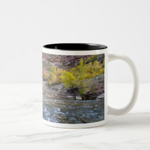 Der Virgin River im Herbst im Zion-Nationalpark Zweifarbige Tasse