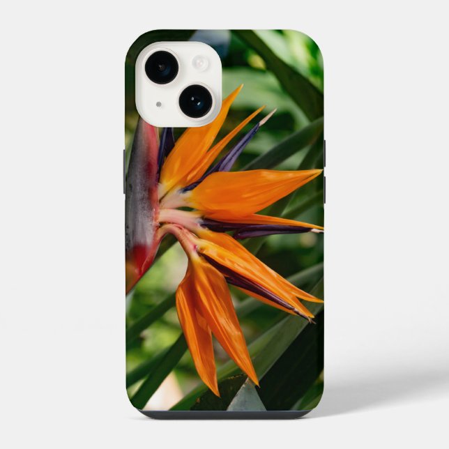 Der Vogel der paradiesischen Blume. iPhone 14 Hülle (Rückseite)