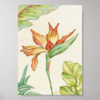 Der Vogel der Paradieskunst Print 12x18