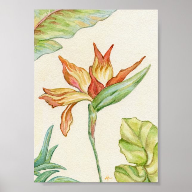 Der Vogel der Paradieskunst Print 12x18 Poster (Vorne)