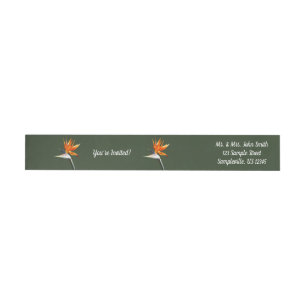 Der Vogel der tropischen Blume Orange