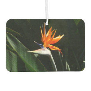Der Vogel der tropischen Blume Orange Autolufterfrischer