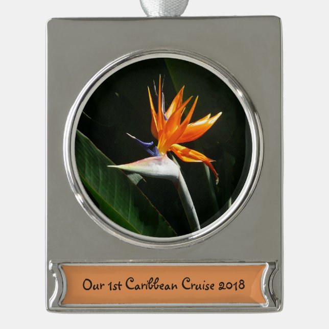 Der Vogel der tropischen Blume Orange Banner-Ornament Silber (Vorderseite)