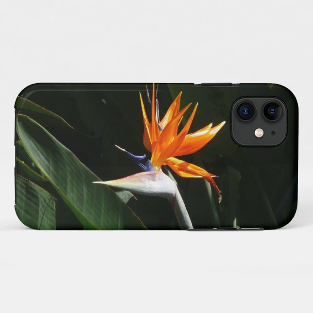 Der Vogel der tropischen Blume Orange Case-Mate iPhone Hülle (Rückseite (Horizontal))