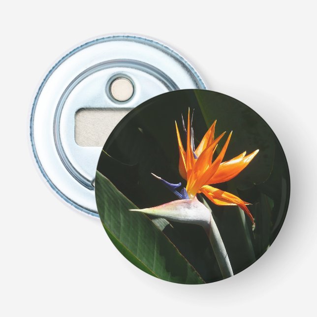 Der Vogel der tropischen Blume Orange Flaschenöffner (Vorderseite)