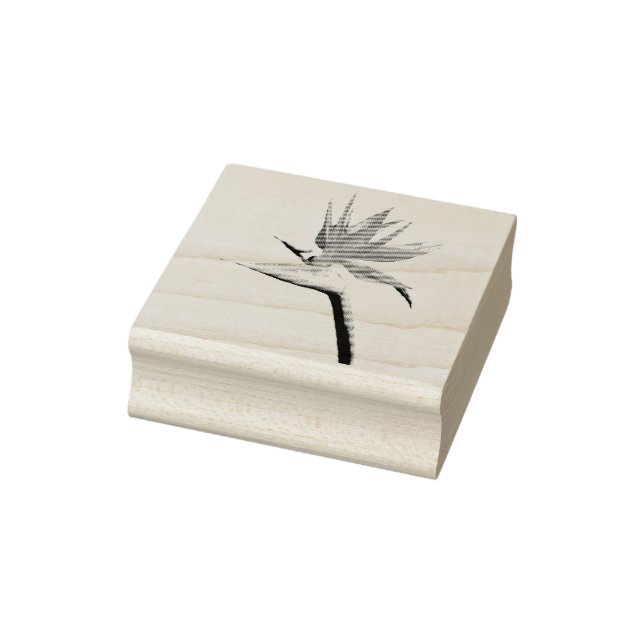Der Vogel der tropischen Blume Orange Gummistempel (Stempel)