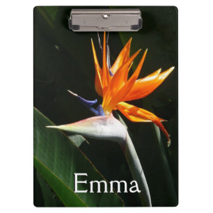 Der Vogel der tropischen Blume Orange Klemmbrett