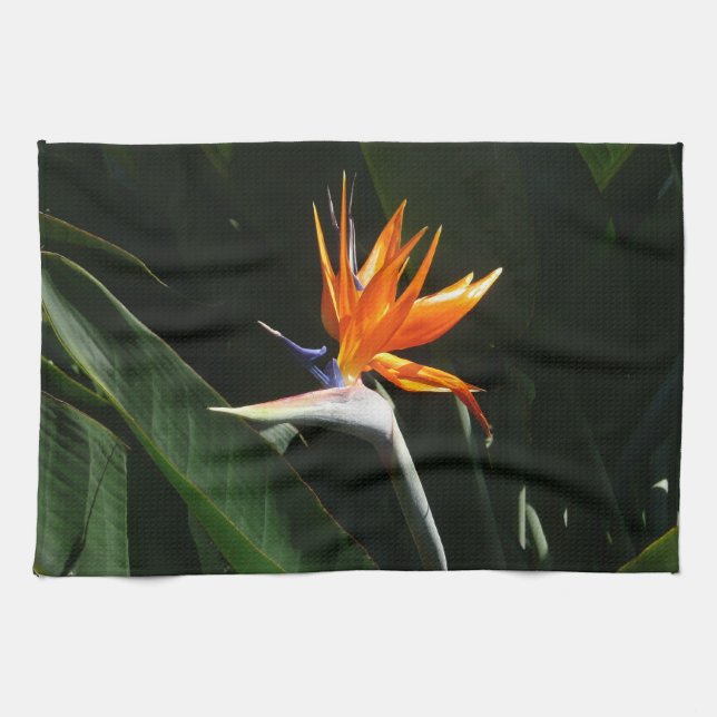 Der Vogel der tropischen Blume Orange Küchentuch (Horizontal)