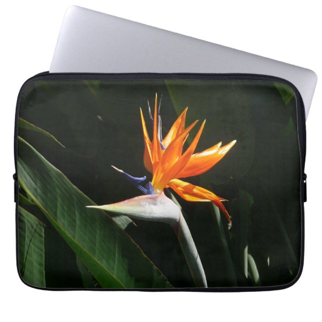 Der Vogel der tropischen Blume Orange Laptopschutzhülle (Vorderseite)