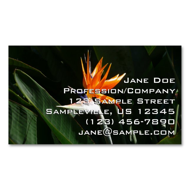 Der Vogel der tropischen Blume Orange Magnetische Visitenkarte (Vorderseite)