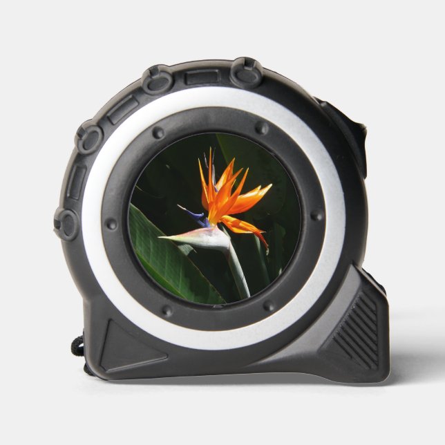 Der Vogel der tropischen Blume Orange Maßband (Vorderseite)