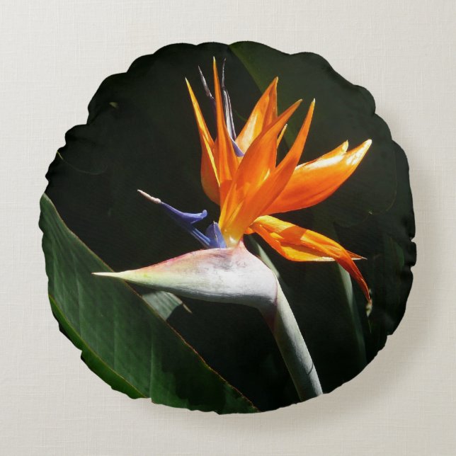 Der Vogel der tropischen Blume Orange Rundes Kissen (Vorderseite)
