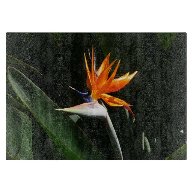 Der Vogel der tropischen Blume Orange Schneidebrett (Vorderseite)